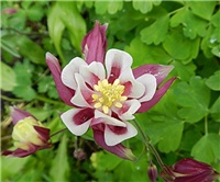 2bfa857b-DSCN3262 a.jpg